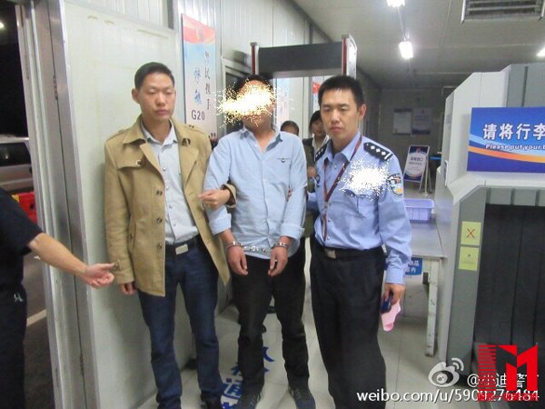 上海迪士尼频遭“采花大盗”,一对夫妻割三百斤黄金菊被刑拘